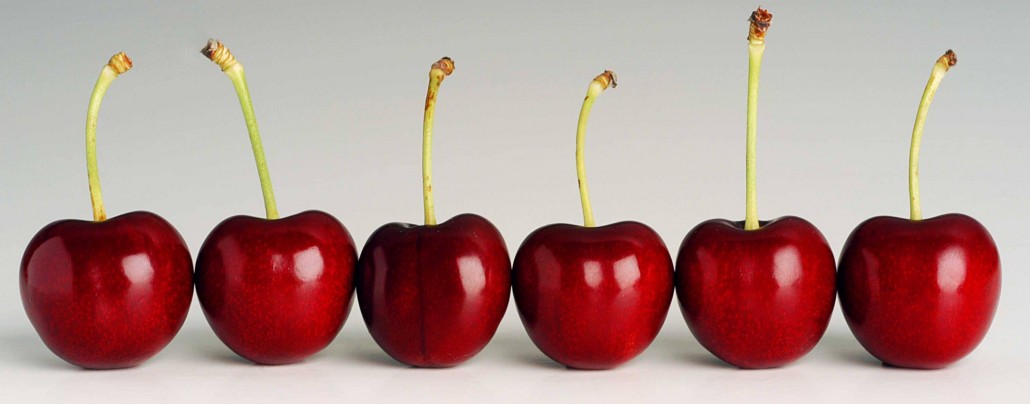 Summer Fruit