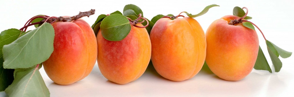 Summer Fruit