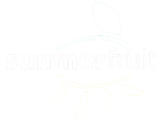 Summer Fruit