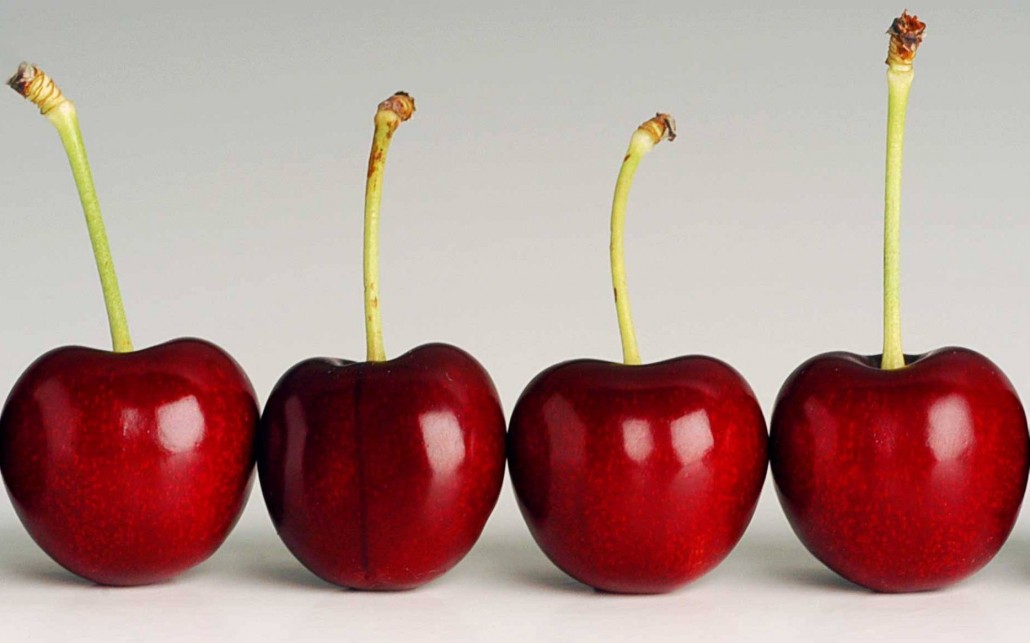 Summer Fruit