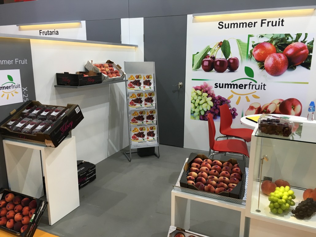 Summer Fruit