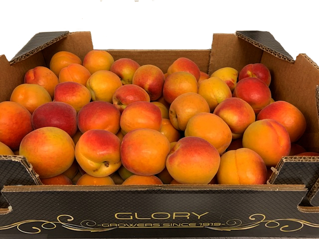 Summer Fruit