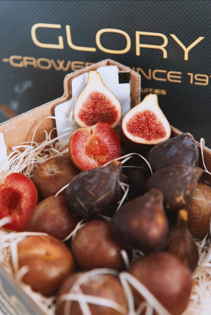 Summer Fruit