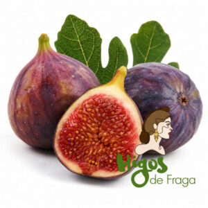 Higo